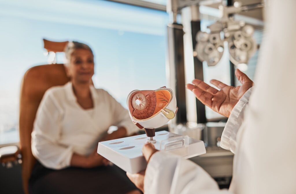 An eye doctor uses an anatomical eye model to explain how dry eyes affect visual clarity.